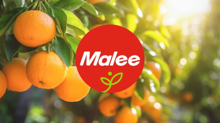 Food Safety and Quality Supervisor