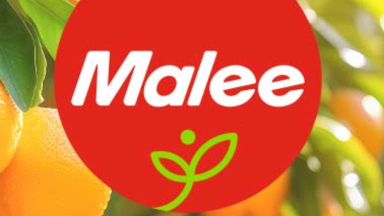 Administration Staff